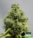 Big Bomb