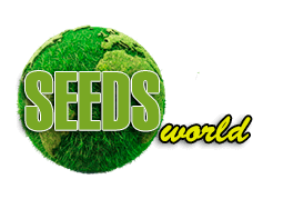 SeedsWorldCannabis - Купить сортовые семена конопли